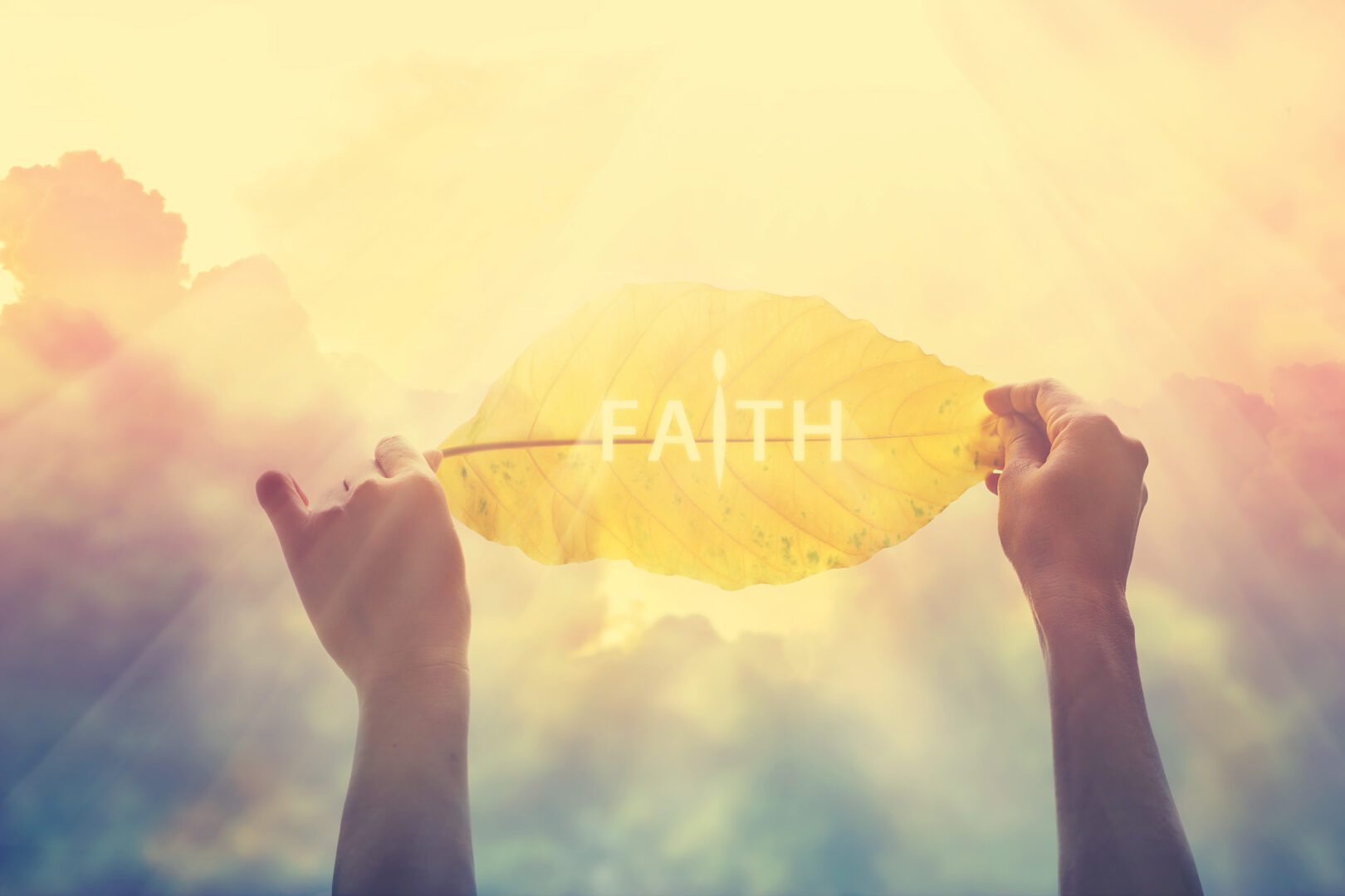 A person holding onto a leaf that says " faith ".