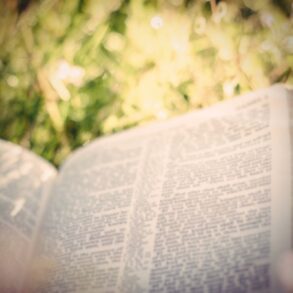 A book is open and the pages are blurred out.