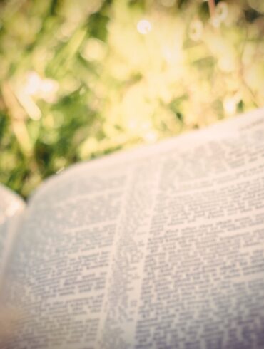 A book is open and the pages are blurred out.