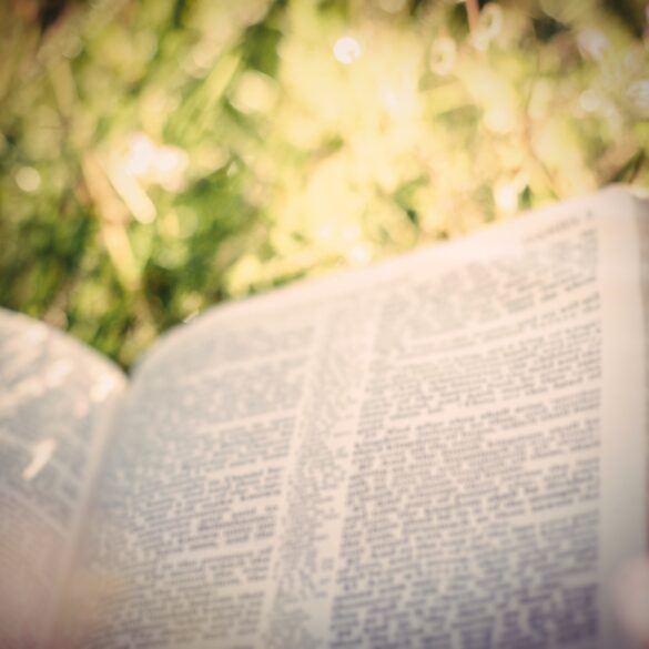 A book is open and the pages are blurred out.